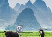 微信自带美颜功能设置（微信自带美颜功能设置OPPO）